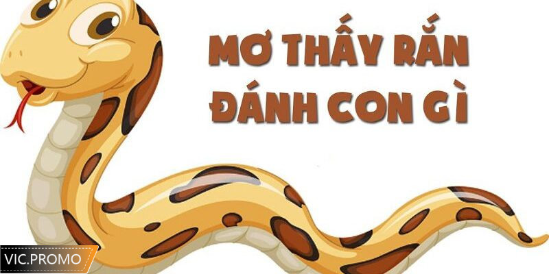 nằm mơ thấy rắn cắn đánh số gì
