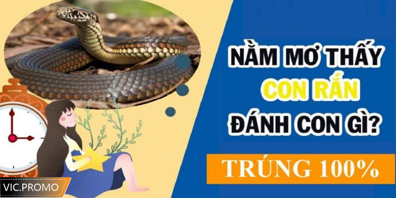 Giải mã khi nằm mơ thấy rắn cắn đánh số gì