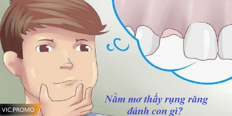 Khi nằm mơ thấy rụng răng đánh số mấy đánh con gì