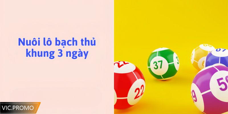 lô bạch thủ khung 3 ngày