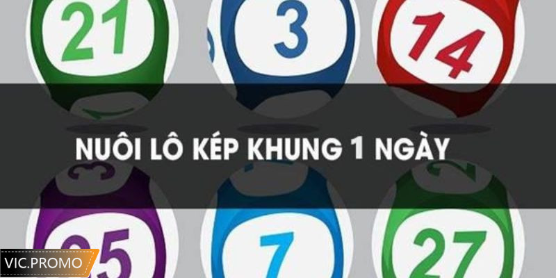 Ưu và nhược điểm khi nuôi lô kép trong khung 1 ngày