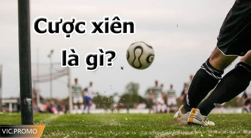 Khái niệm cược xiên là gì?