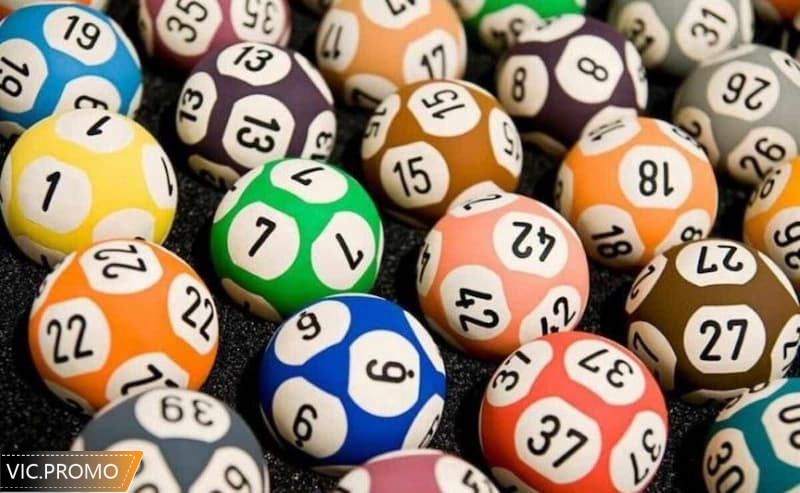 Có khá nhiều cách nuôi lô bạch thủ để chắc thắng