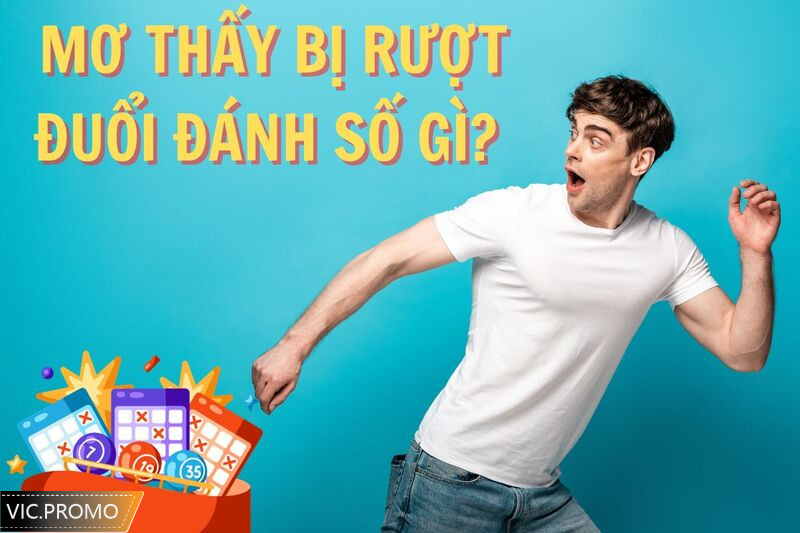 Chọn con số dễ trúng khi bị rượt đuổi