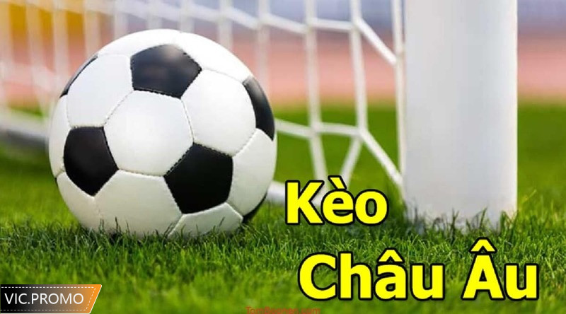 Lưu ý khi đặt cược kèo 1x2 cho lính mới