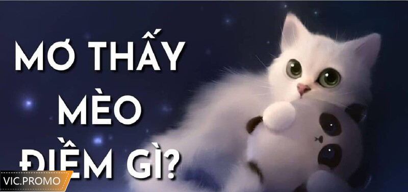 Mơ thấy mèo đánh xổ số có trúng không?