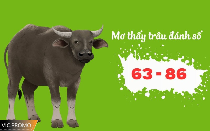 Nằm mơ thấy trâu đen đánh số gì dễ trúng xổ số nhất?