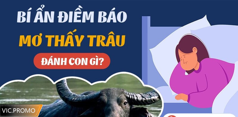 Mơ thấy trâu đen là điềm báo lành hay dữ?