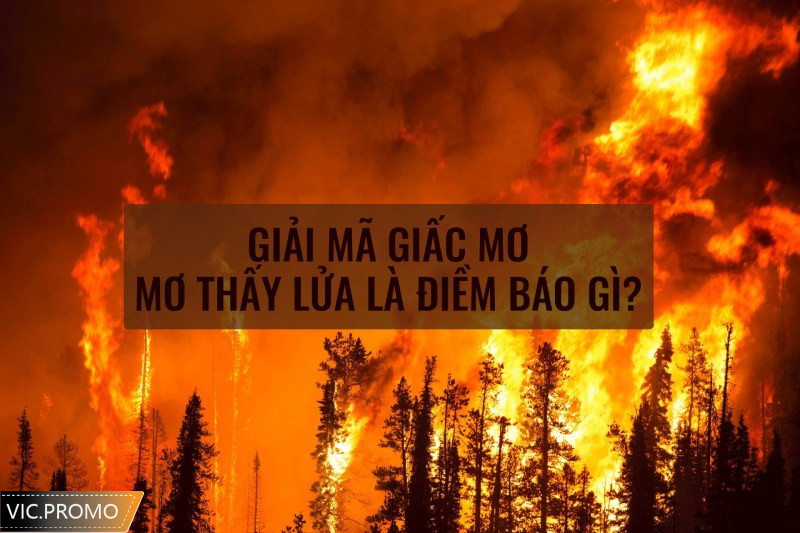 Giải mã giấc mộng mơ thấy lửa là điềm lành hay dữ?