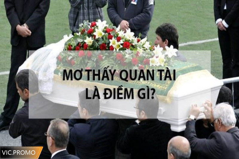 Mơ thấy quan tài là điềm gì? Giải mã một số giấc mơ quan tài phổ biến